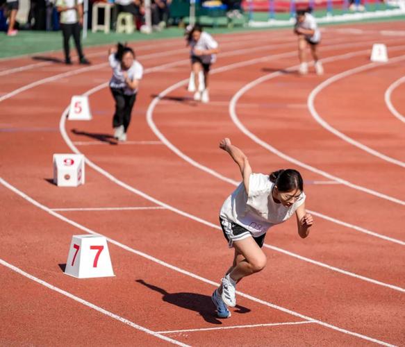 乓球界的佼 乓球界的佼