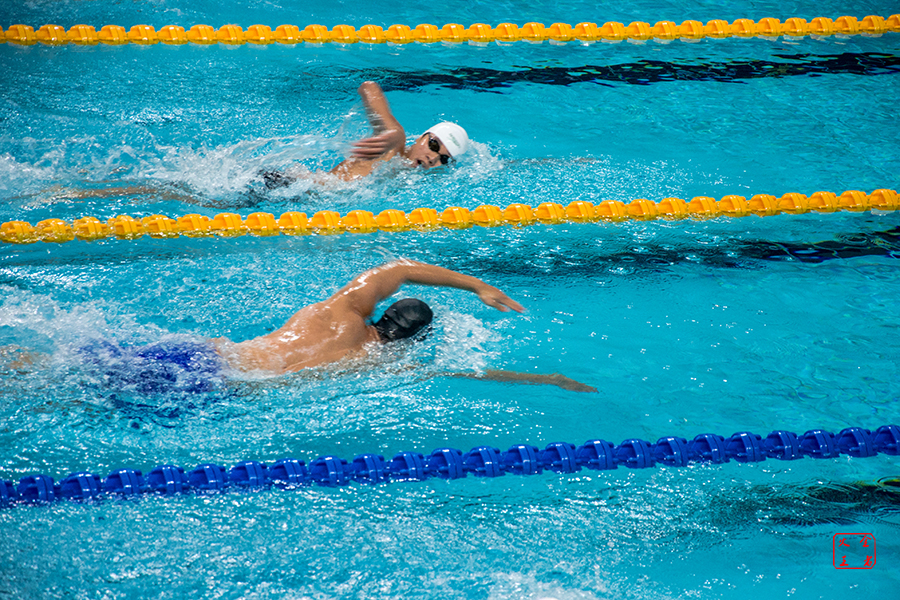 添新的光彩 添新的光彩