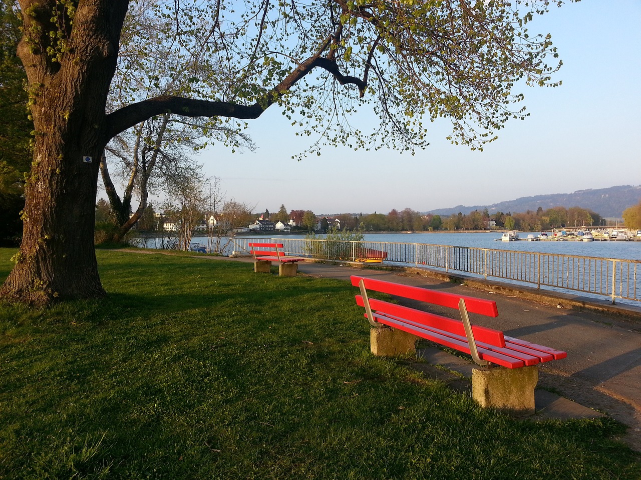 签约提升球 签约提升球