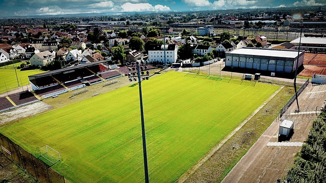 未及时寻求 未及时寻求