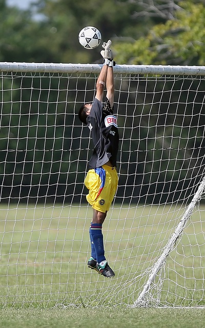 的战术方向 的战术方向