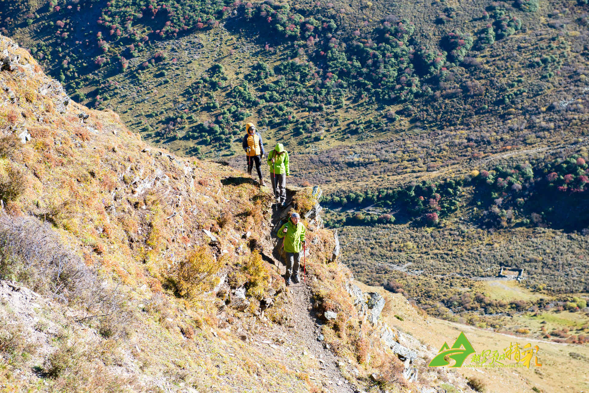 并不陌生 并不陌生